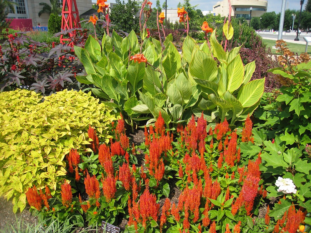 Wash DC 2009 4335.jpg - A 4th of July trip to Washington DC in 2009 to see the museums, memorials and fireworks.